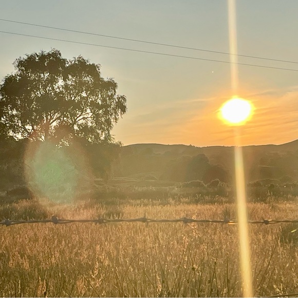 Meet your Posher, Naomi - Picture 1 of 1